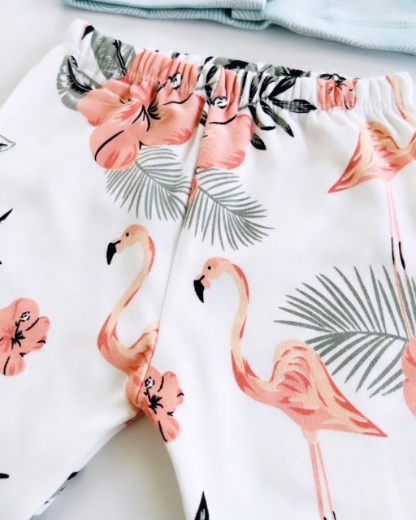 Picture of Flamingo Takim (0-3) M