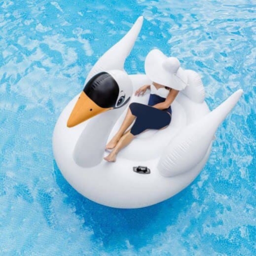 Picture of MEGA SWAN ISLAND