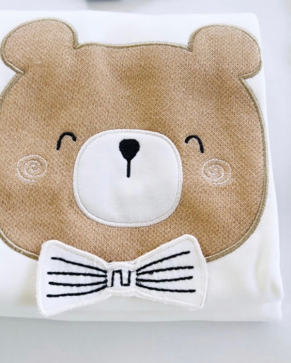 Picture of Newborn star bear 10-piece set