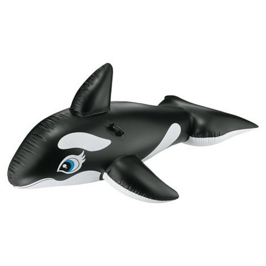 Picture of WHALE RIDE ON