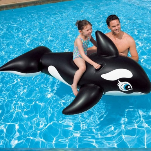 Picture of WHALE RIDE ON