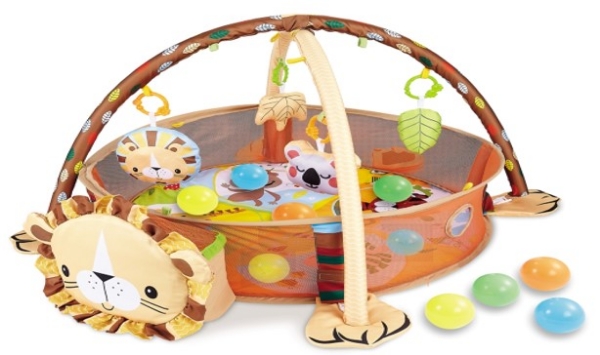 Picture of ACTIVITY GYM & BALL PIT