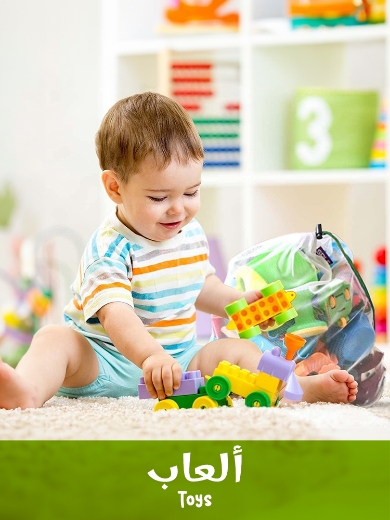 Picture for category Toys
